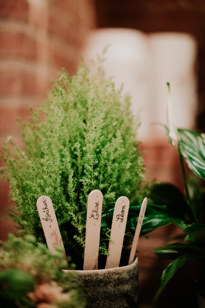 Plante en pot pour plan de table