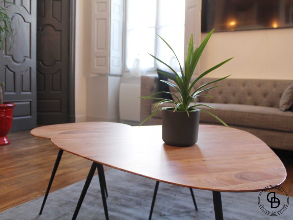 Plante verte sur table basse